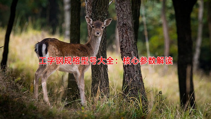 槽钢规格型号对照表及其应用场景介绍
