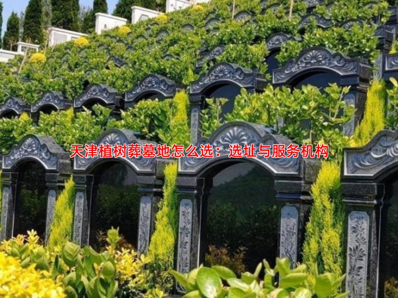 天津植树葬墓地怎么选：选址与服务机构