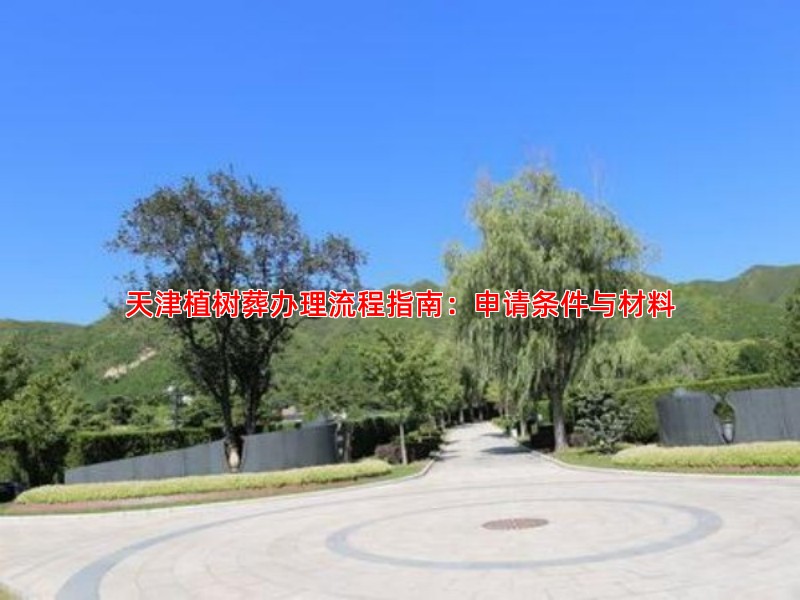 天津植树葬办理流程指南：申请条件与材料