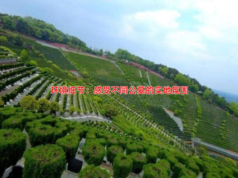 环境细节：感受不同公墓的实地氛围