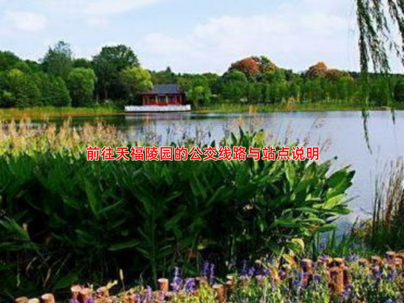 前往天福陵园的公交线路与站点说明