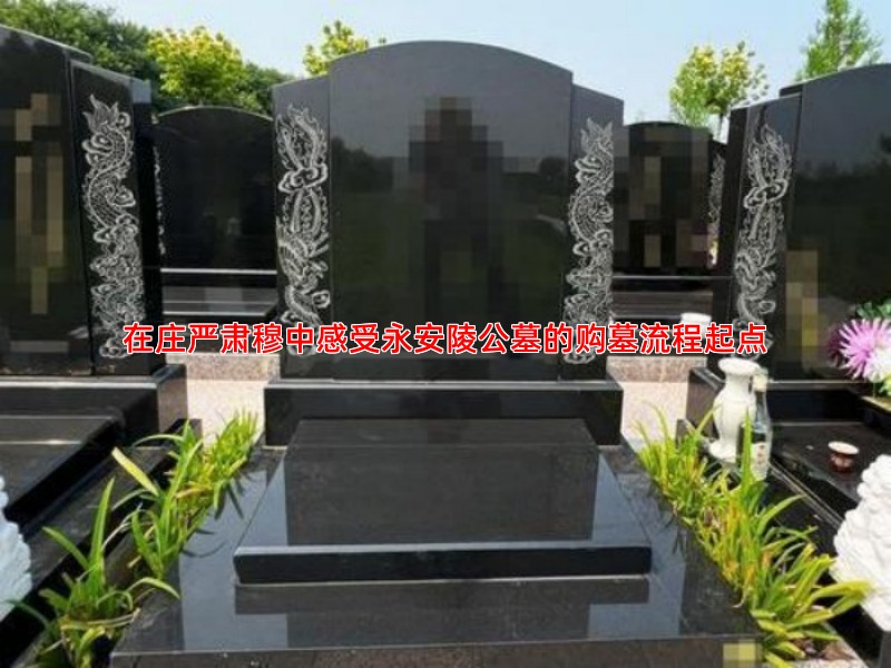 永安陵公墓环境实景展示，感受其庄严肃穆与宁静祥和