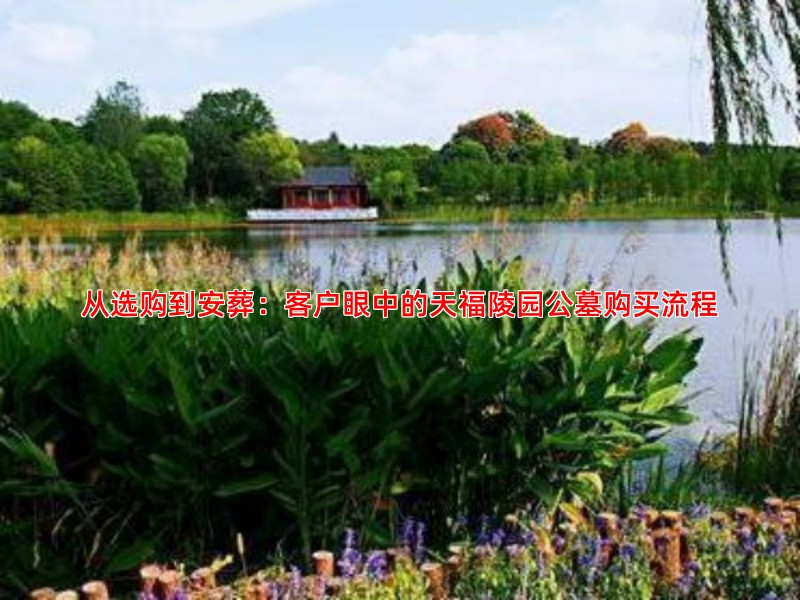从选购到安葬：客户眼中的天福陵园公墓购买流程