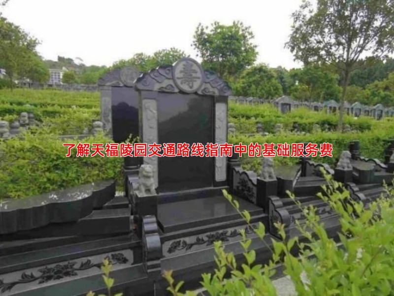 了解天福陵园交通路线指南中的基础服务费