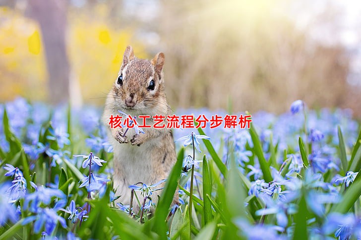 核心工艺流程分步解析