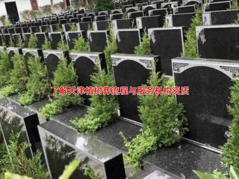 了解天津植树葬流程与服务机构资质