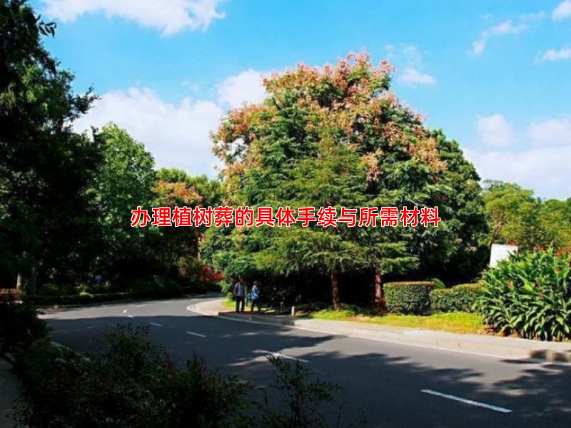 办理植树葬的具体手续与所需材料