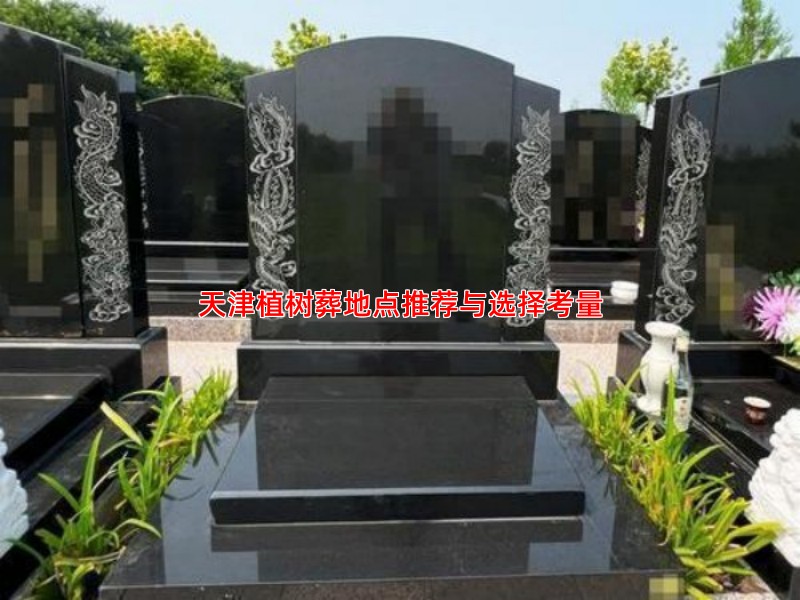 天津植树葬地点推荐与选择考量