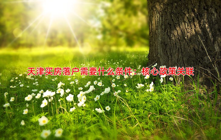 天津买房落户需要什么条件：核心政策关联