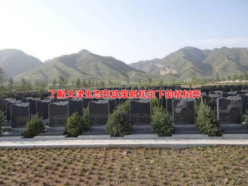 了解天津生态葬政策新规定下的植树葬