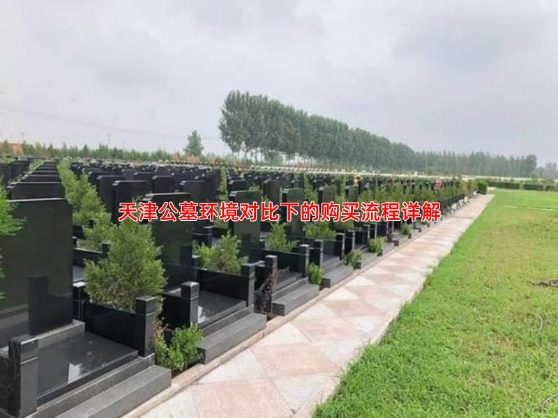 天津公墓使用权购买流程与后续管理须知
