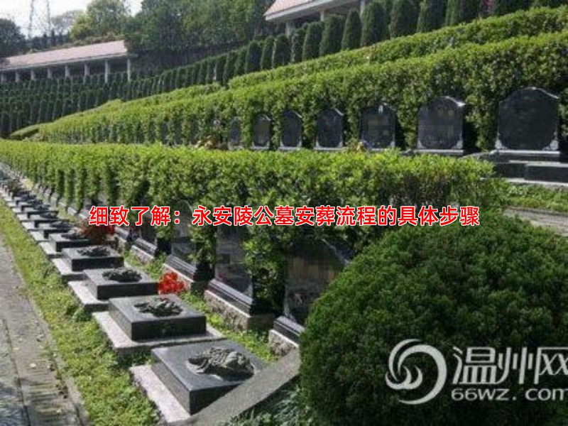 细致了解：永安陵公墓安葬流程的具体步骤