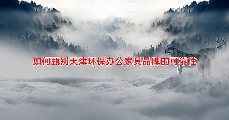 如何甄别天津环保办公家具品牌的可靠性