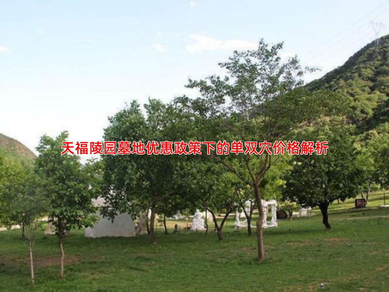 天福陵园墓地优惠政策下的单双穴价格解析