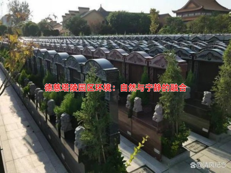 德慈塔陵园区环境：自然与宁静的融合