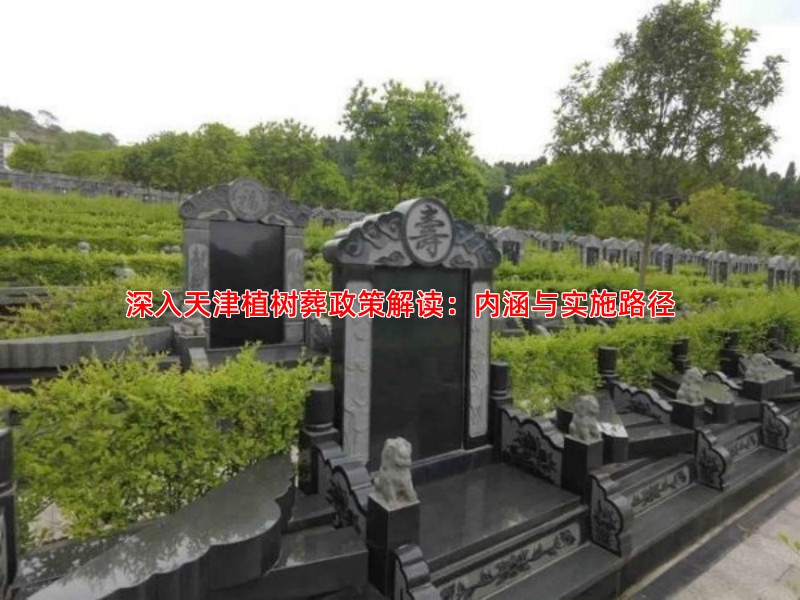 深入天津植树葬政策解读：内涵与实施路径