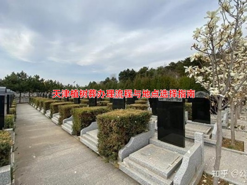 天津植树葬办理流程与地点选择指南