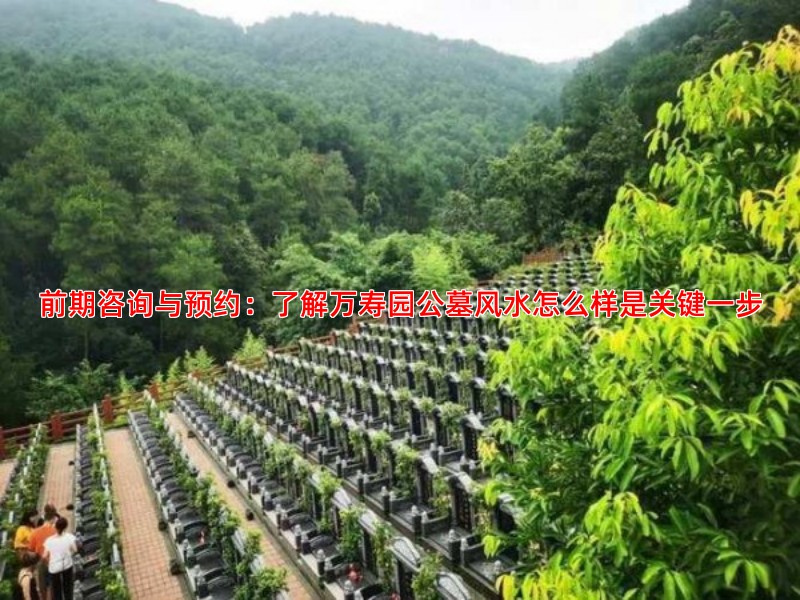 万寿园公墓安葬流程详解，从预约到落葬的完整步骤