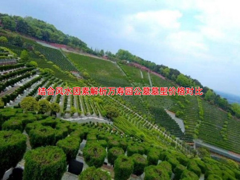 结合风水因素解析万寿园公墓墓型价格对比