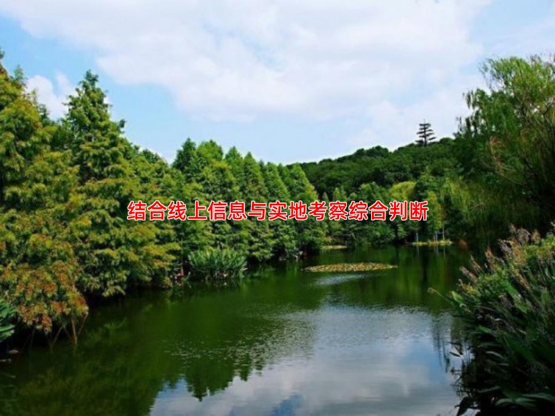 结合线上信息与实地考察综合判断