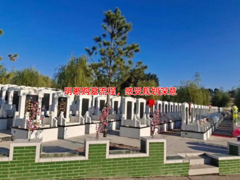 明晰购墓流程，感受规划深意
