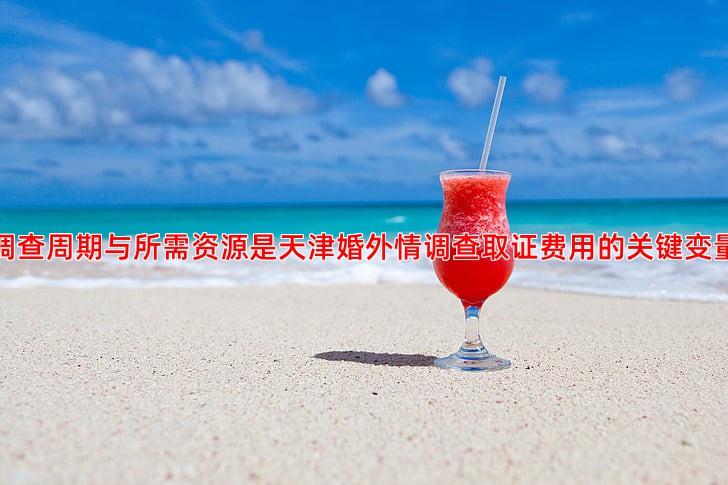 调查周期与所需资源是天津婚外情调查取证费用的关键变量