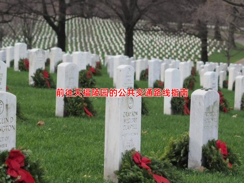 前往天福陵园的公共交通路线指南