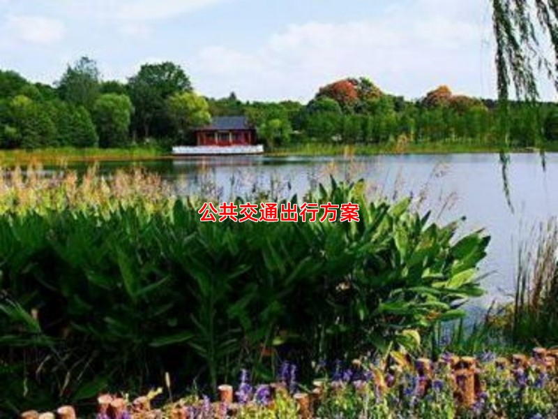 公共交通出行方案