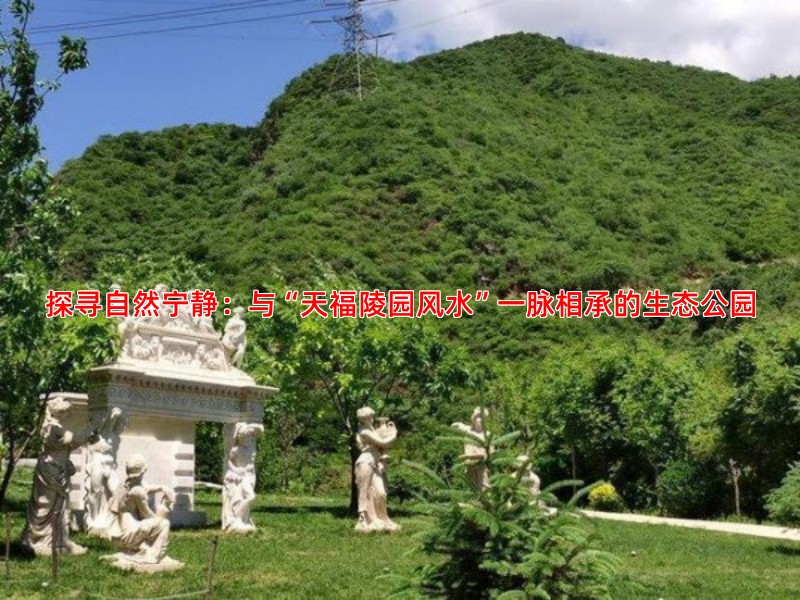 探寻自然宁静：与“天福陵园风水”一脉相承的生态公园