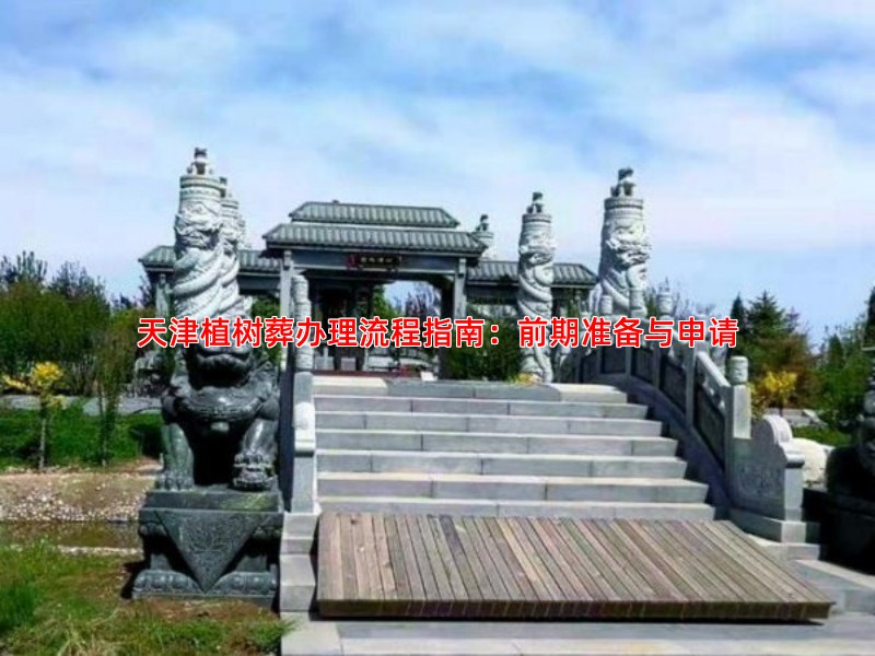 天津植树葬办理流程指南：前期准备与申请