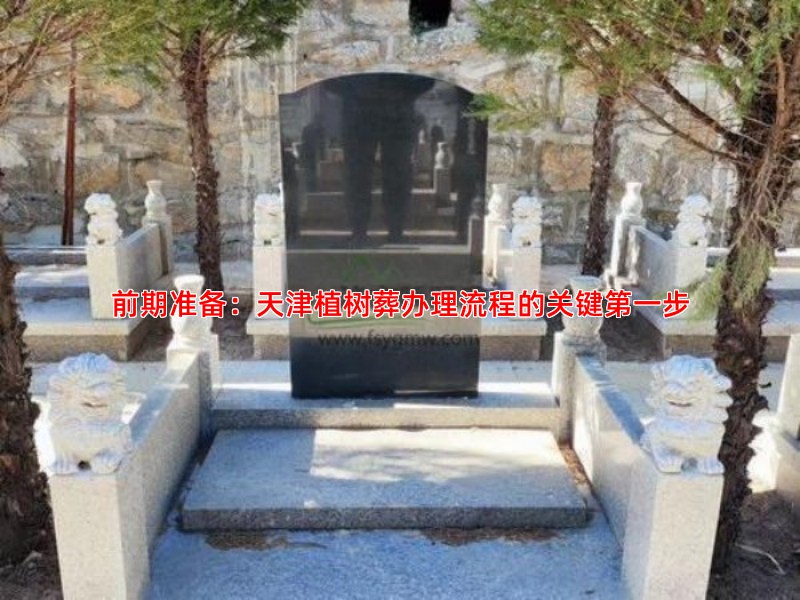 前期准备：天津植树葬办理流程的关键第一步