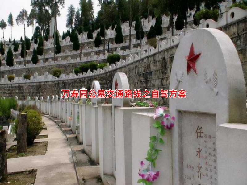 万寿园公墓交通路线指南：自驾、公交与地铁出行方案