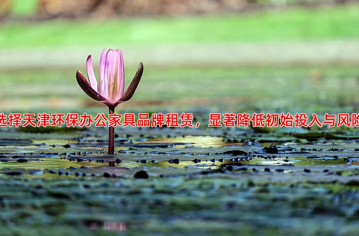 选择天津环保办公家具品牌租赁，显著降低初始投入与风险