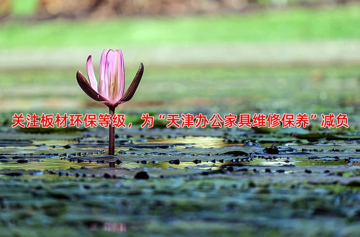 关注板材环保等级，为“天津办公家具维修保养”减负