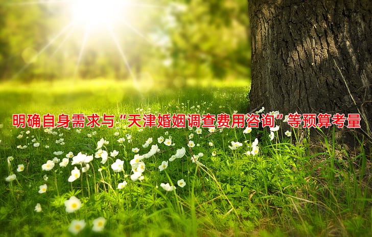明确自身需求与“天津婚姻调查费用咨询”等预算考量