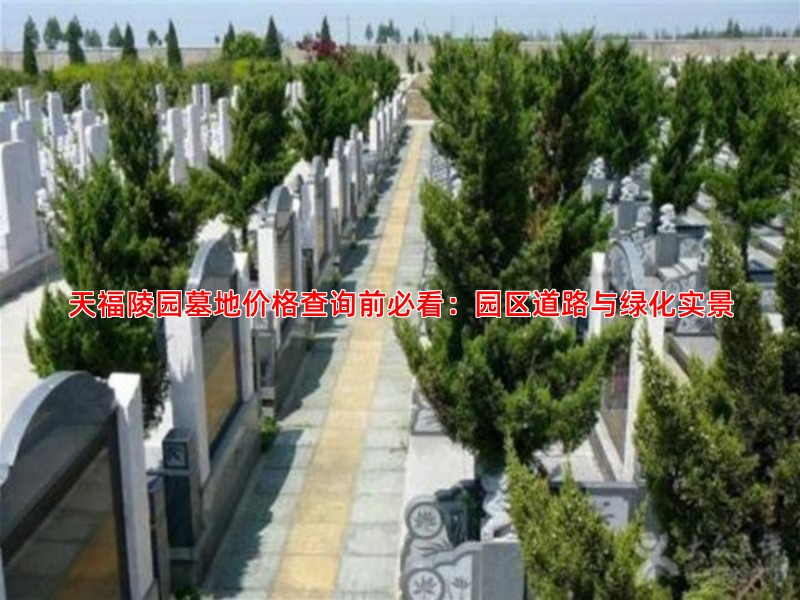 天福陵园墓地价格查询前必看：园区道路与绿化实景