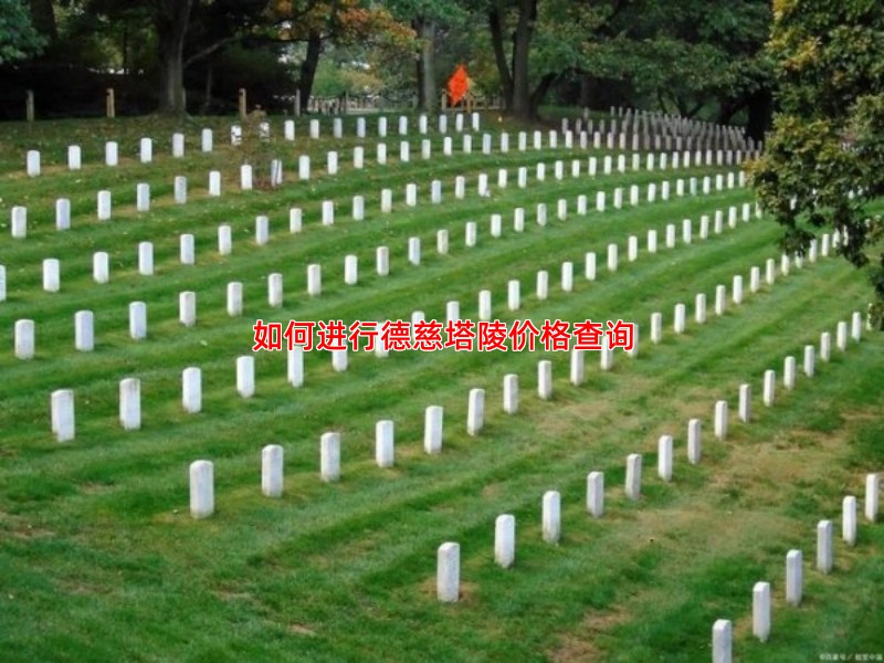 德慈塔陵价格咨询，常见问题与费用说明汇总