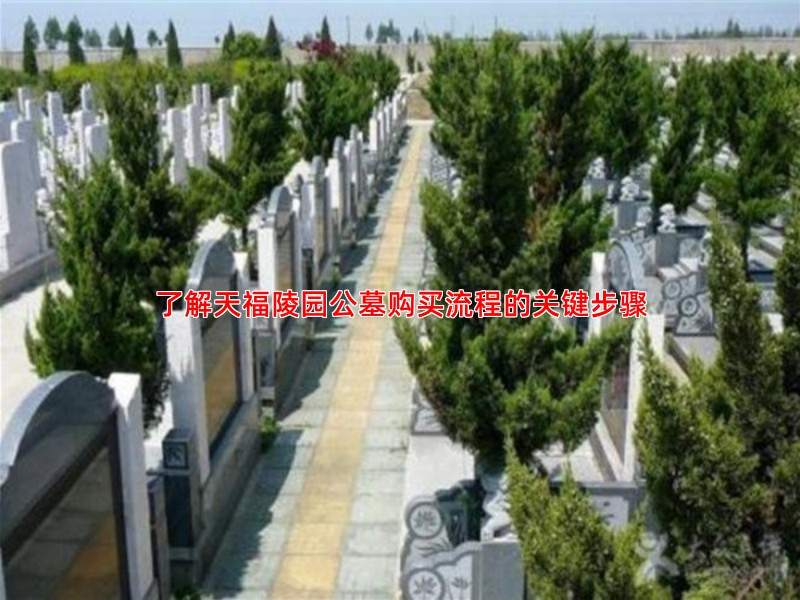 了解天福陵园公墓购买流程的关键步骤
