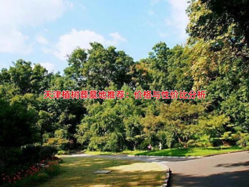 天津植树葬墓地推荐：价格与性价比分析