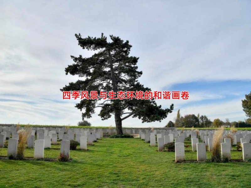 四季风景与生态环境的和谐画卷