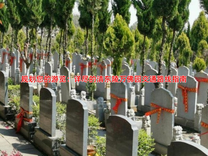 规划您的游览：详尽的清东陵万佛园交通路线指南