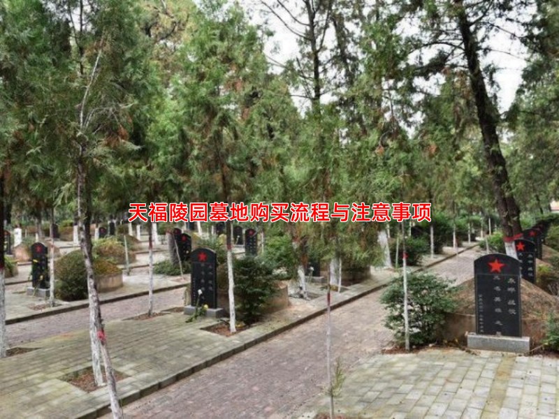 天福陵园墓地购买流程与注意事项