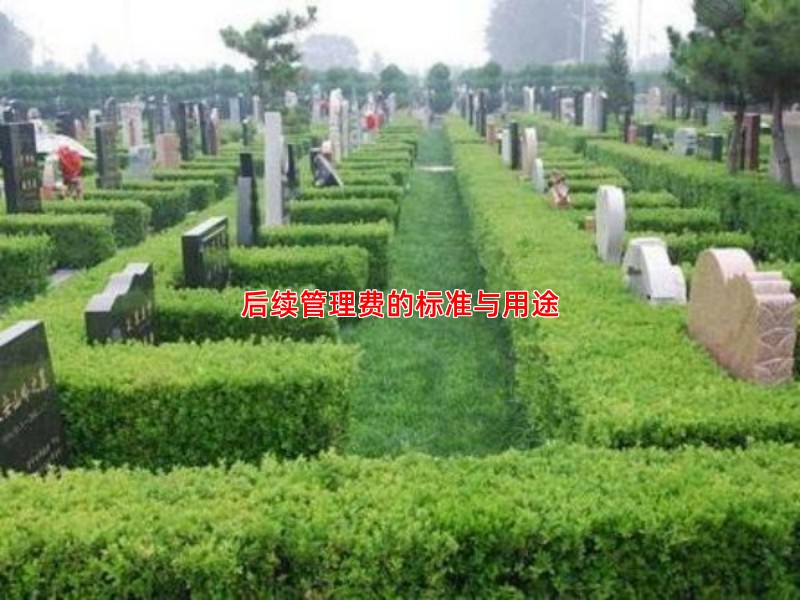 后续管理费的标准与用途