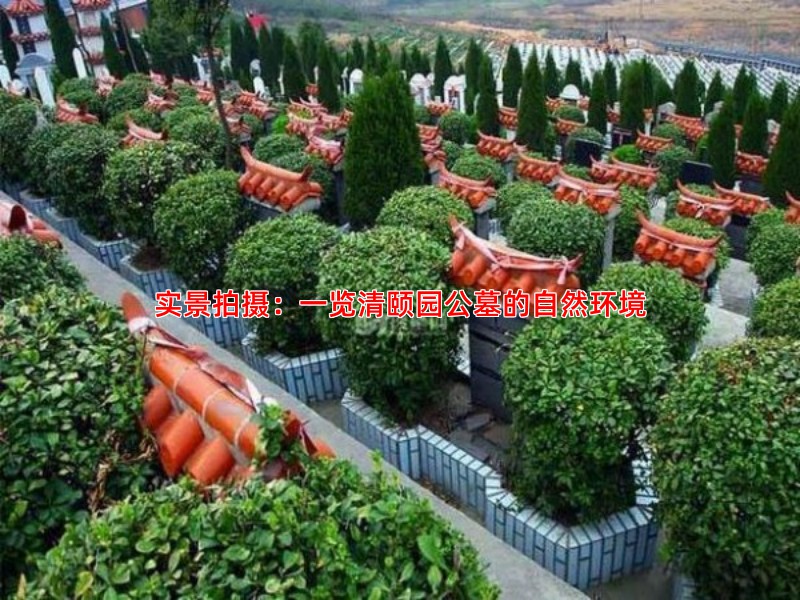实景拍摄：一览清颐园公墓的自然环境