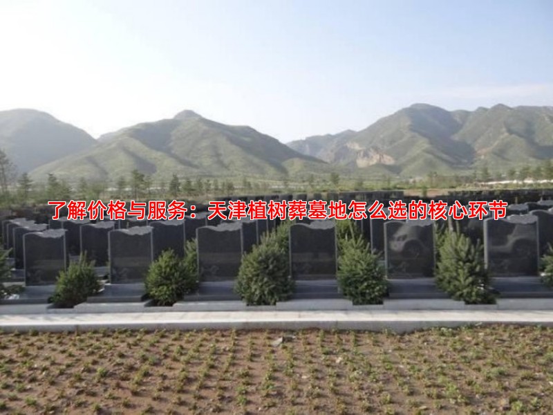 了解价格与服务：天津植树葬墓地怎么选的核心环节