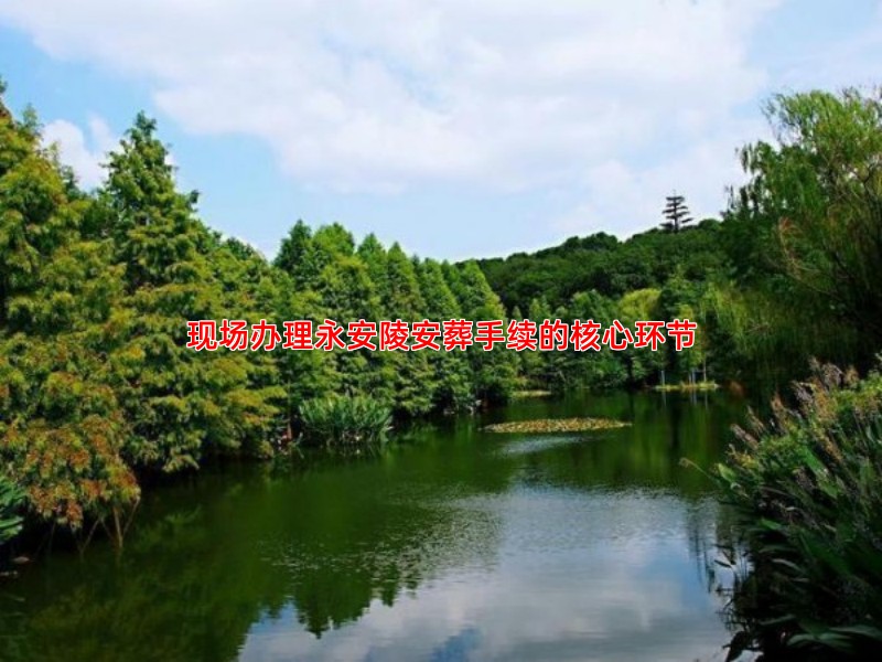 现场办理永安陵安葬手续的核心环节