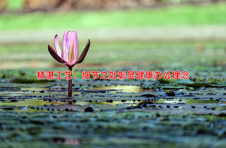 精湛工艺：细节之处彰显健康办公理念