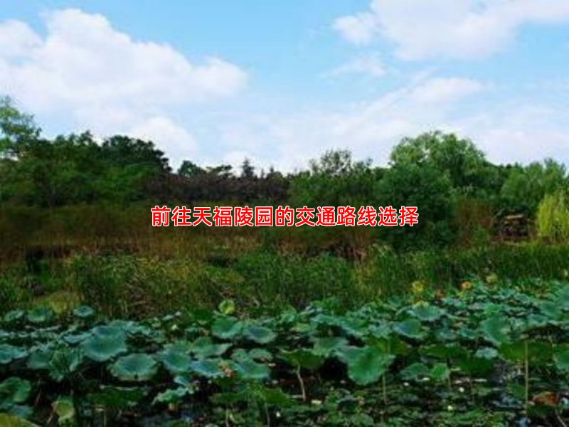 前往天福陵园的交通路线选择