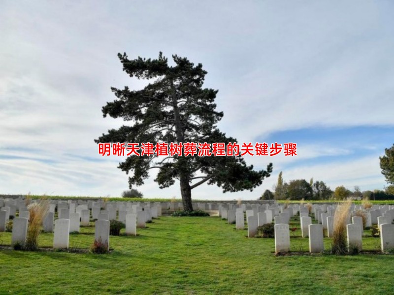 明晰天津植树葬流程的关键步骤