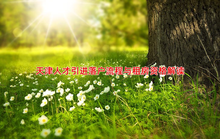 天津人才引进落户流程与租房资格解读